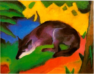 Blue-Black Fox
